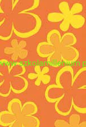 werbena pomarańczowy.jpg