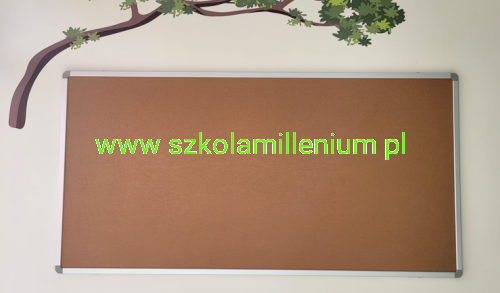 Zrzut ekranu 2024-10-29 150026.png