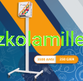Zrzut ekranu 2024-12-03 231615.png